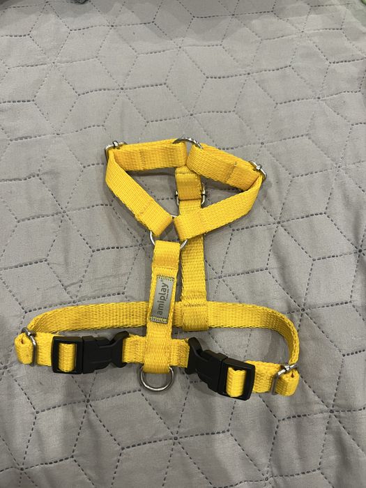 Шлея Zeedog розмір XS ami play pesic co pets fashion