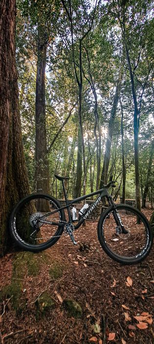 Specialized epic world cup expert