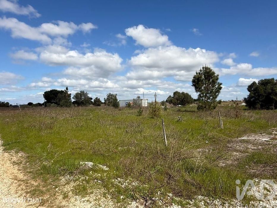 Terreno Agrícola em Palmela
