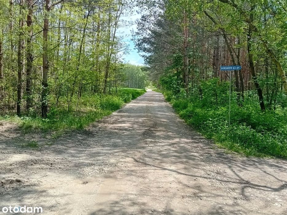 Widokowa działka otoczona lasem!