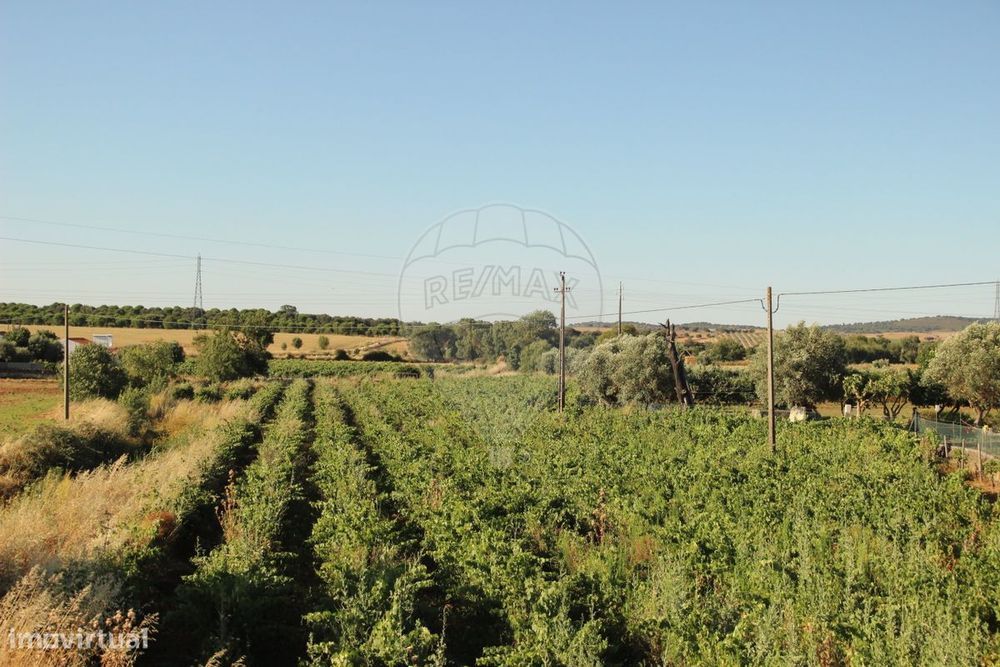 Terreno  para venda