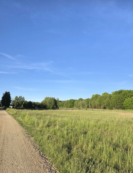 Działka budowlana w Grodzisku gmina Wręczyca Wielka w zestawie z działką rekreacyjną zaledwie 15 km od Częstochowy - Widok 3