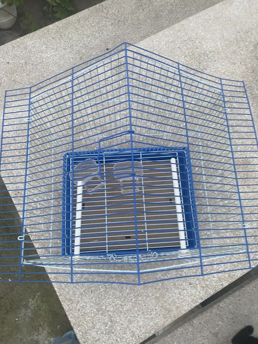 Gaiola de passaros