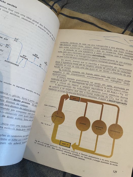 Livro Compêndio de Biologia