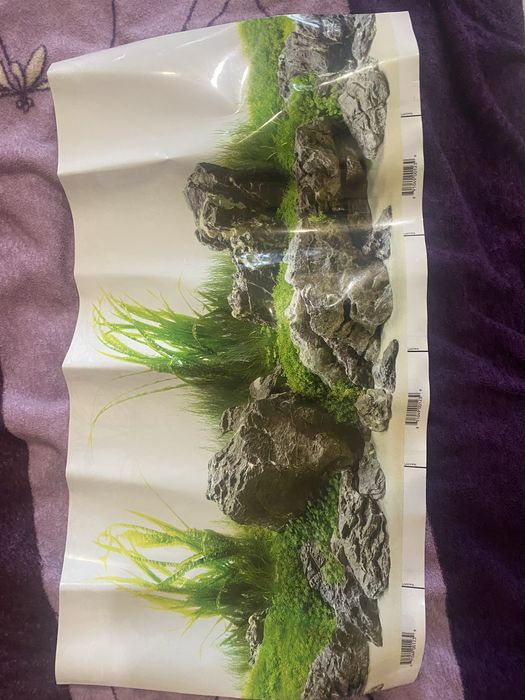 Наклейка для террариума