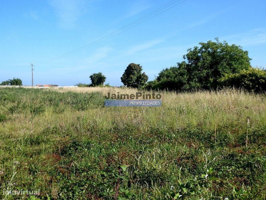 Urban plot of 9,000 m². Portugal, Cacia, Aveiro.