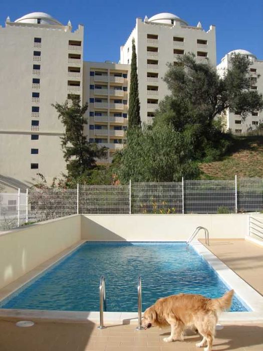 T1 Férias - Rotunda da Marina - Praia da Rocha