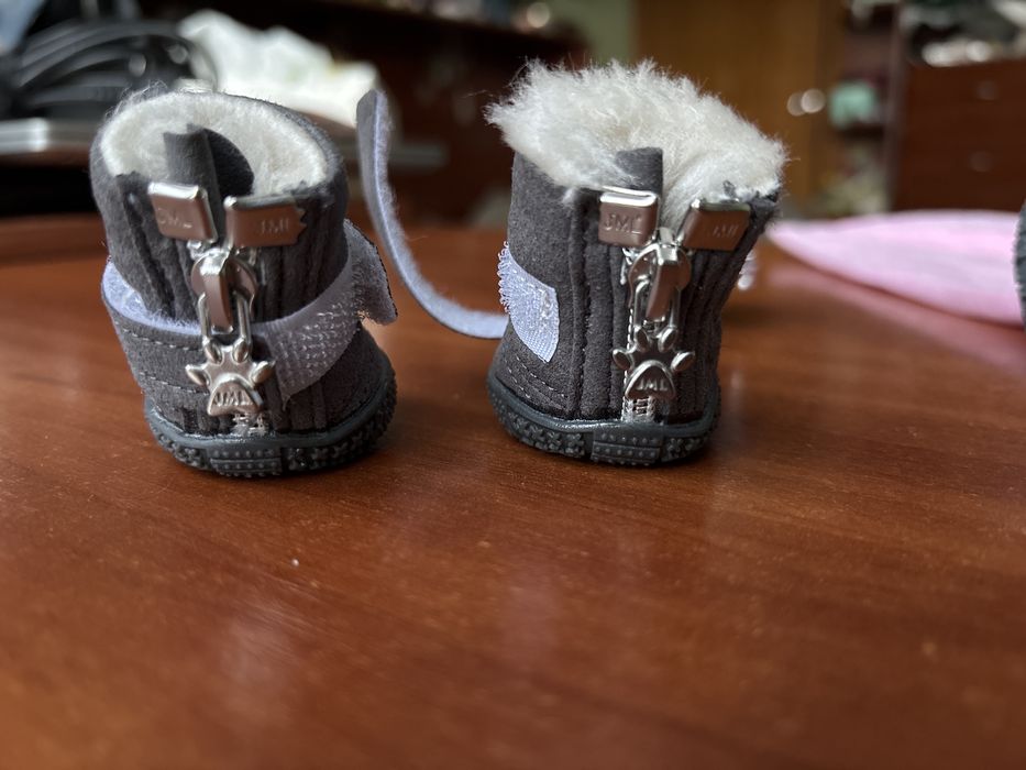 Взуття для собак