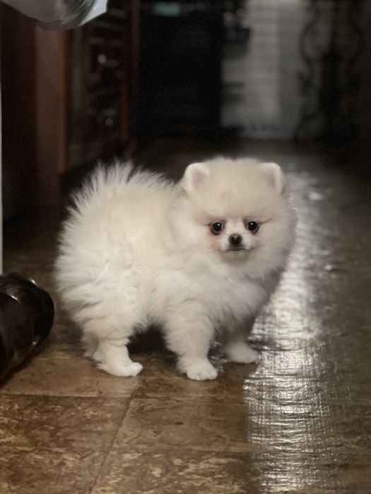 Маленький антидепрессант