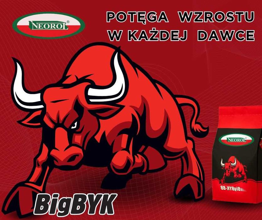 Koncentrat dla byków Big Byk Neorol 25 kg wysyłka
