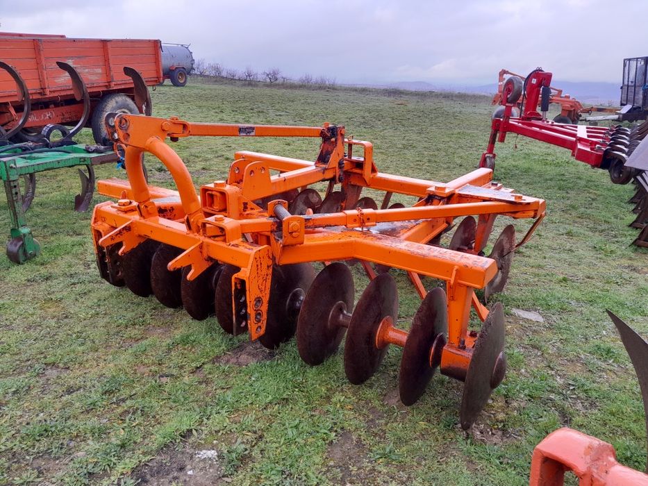 Charruas de vários tamanhos