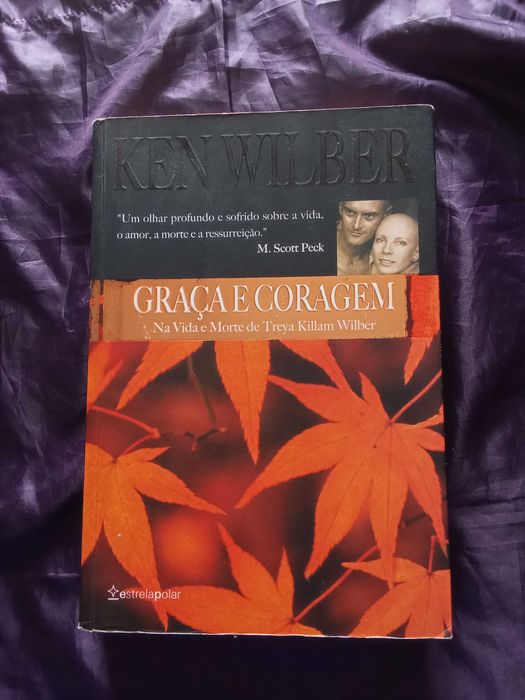 Graça e Coragem - Ken Wilber
