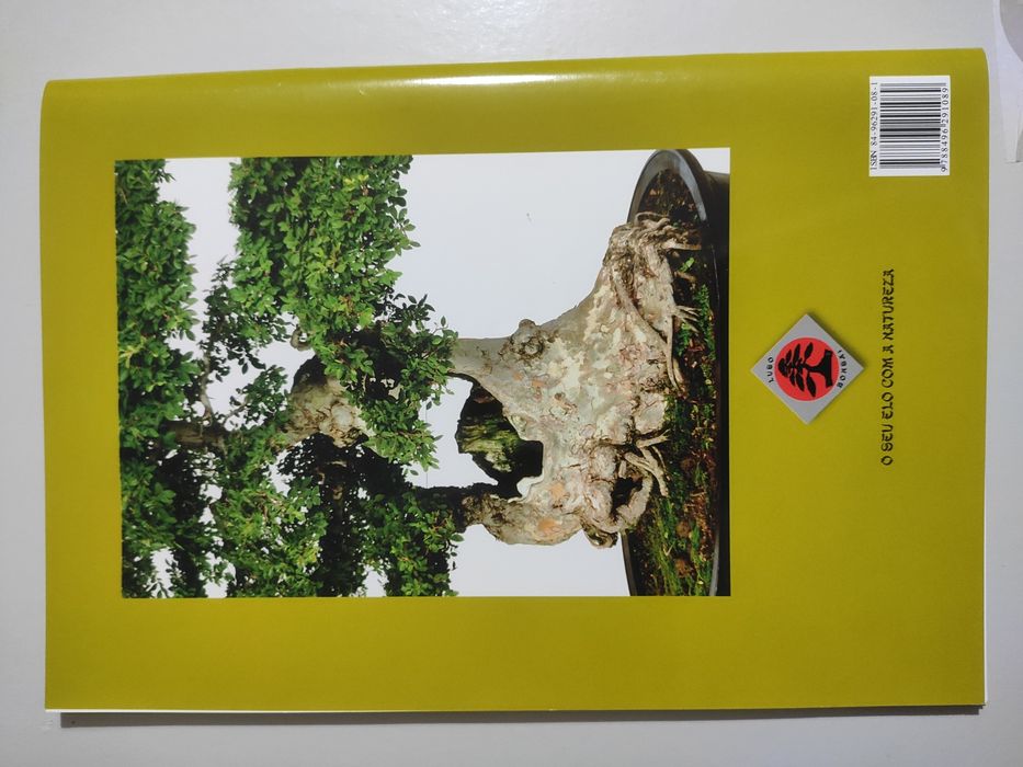 Guia do Ulmeiro - Bonsai