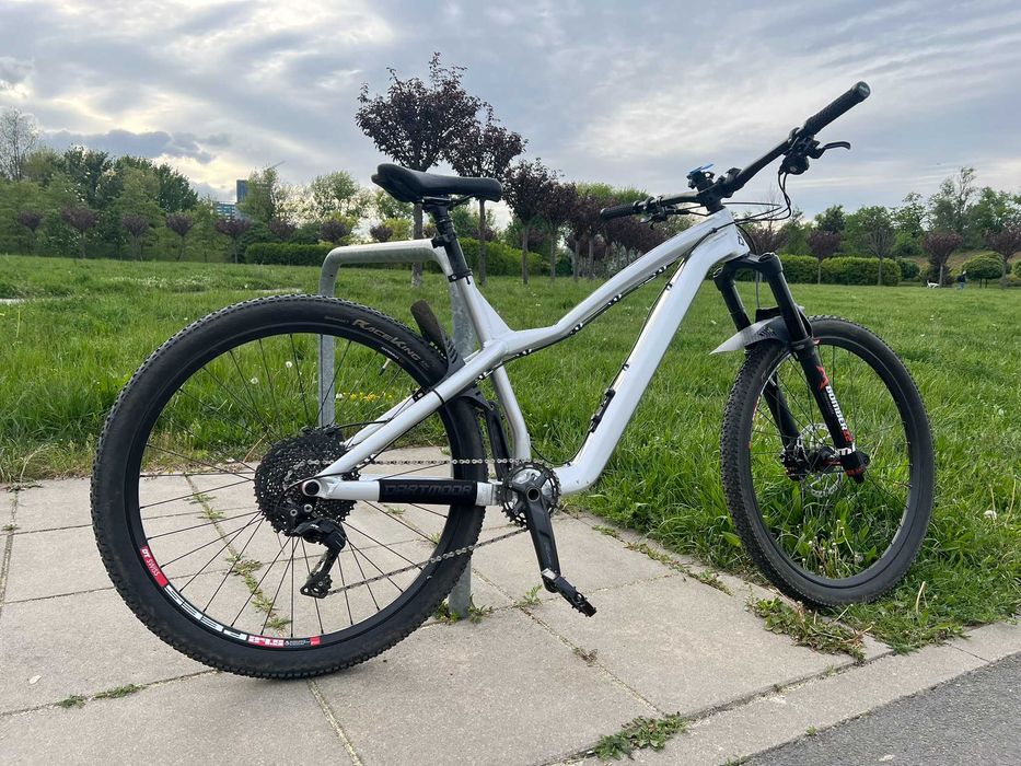 Dartmoor Hornet Pro XL