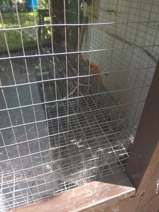 Клетка для кур несушек