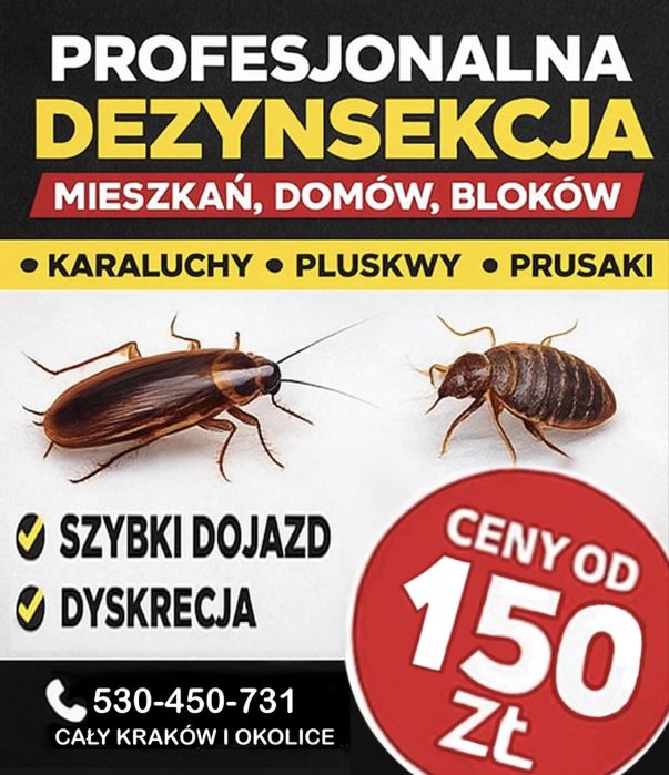 Dezynsekcja mieszkań i bloków — karaluchy, prusaki, pluskwy