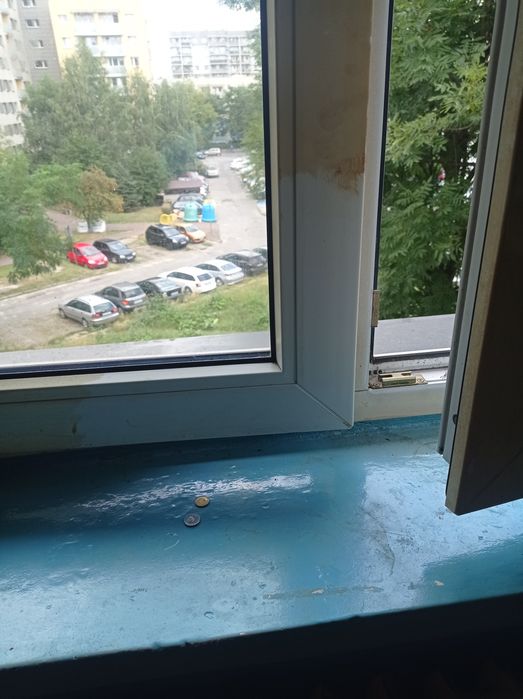 Usługi sprzątające