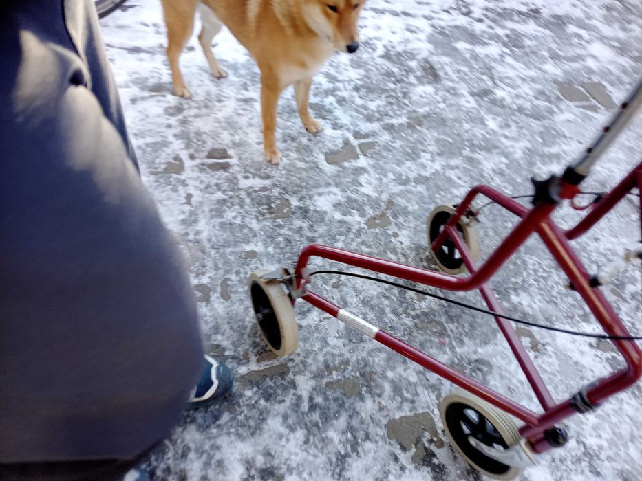 balkonik chodzik 3 kołowy