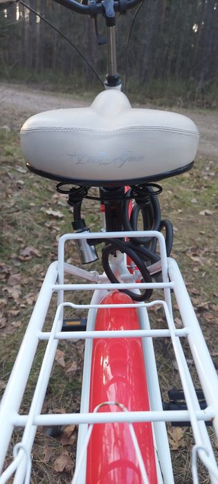 Rower Duth Goose