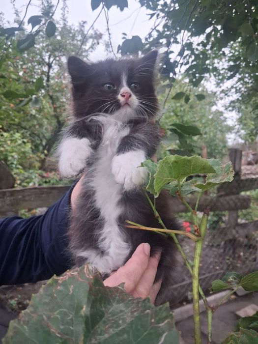 Чудовий хлопчик- в чудову сім"ю.