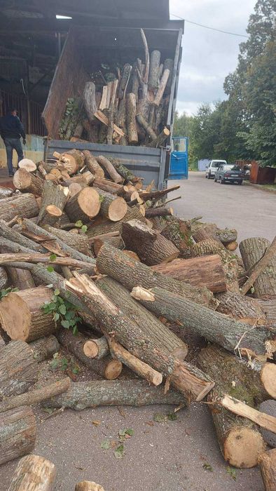 Брикети, дрова, вугілля.