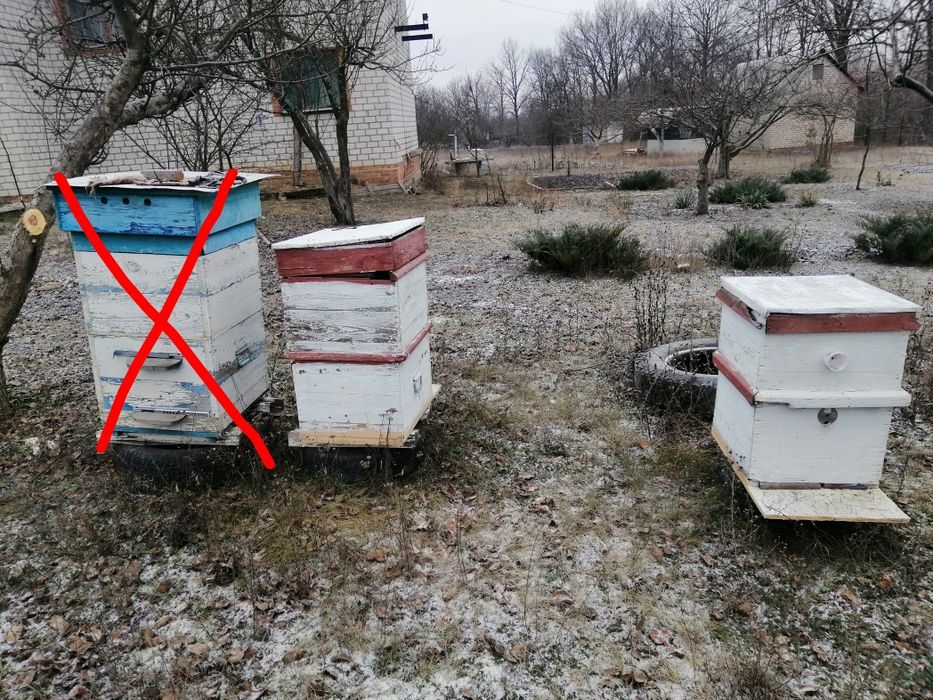 Ульи улей для пчёл б/у