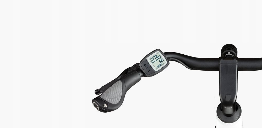 Riese & Muller Multicharger Mixte GT touring (47 cm)