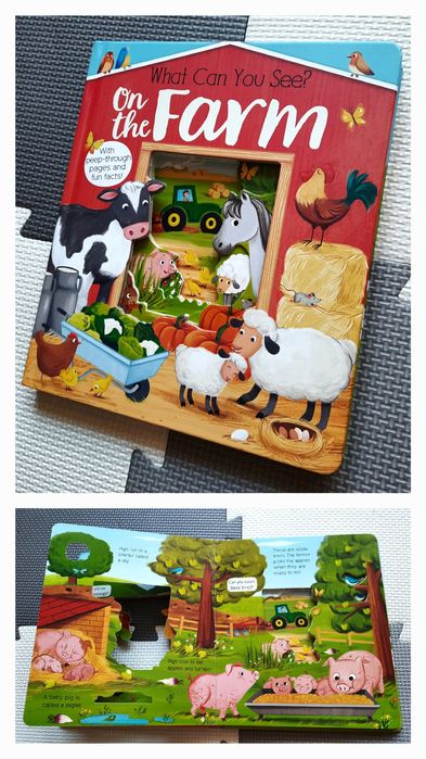 Zestaw What Can You See? 3 książki sensoryczne po angielsku