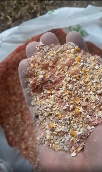 Відходи кукурузи/отходы кукурузы