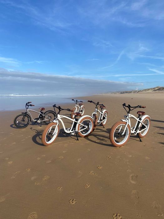 4 Bicicletas Elétricas Gorilla Mâle – Fat Bike | Junho 2024