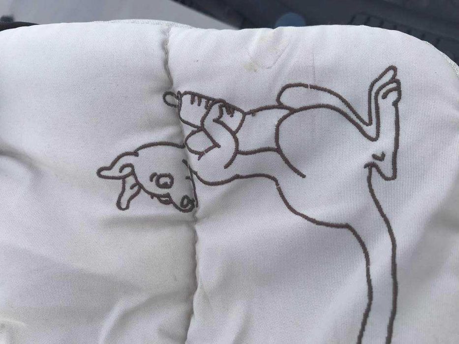 Детская переноска Geoby