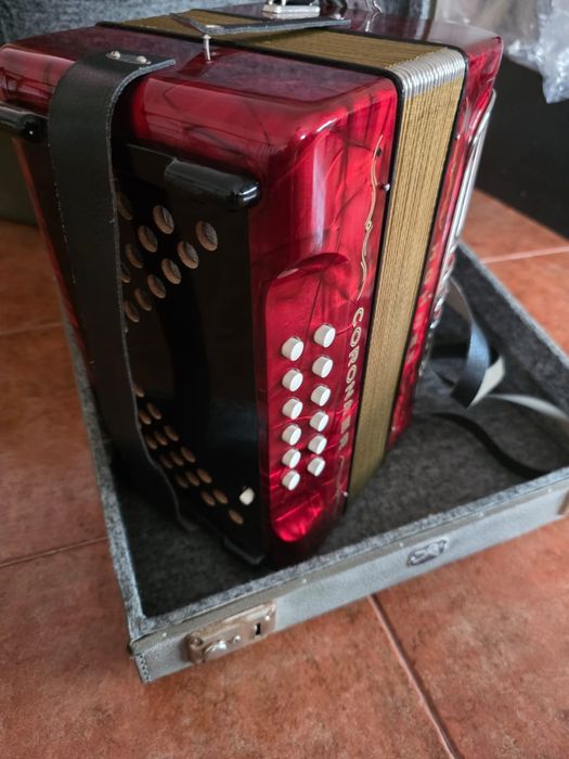 Concertina ,em excelente  estado  de conservação!
