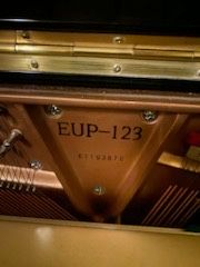 Piano Essex em excelente condição