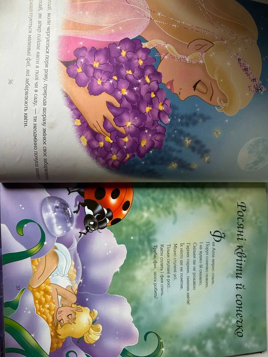 " Феї "       Країна Мрій