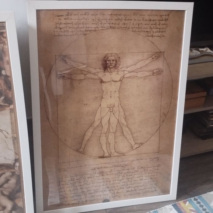 quadros Leonardo daVinci e Miguel Angelo