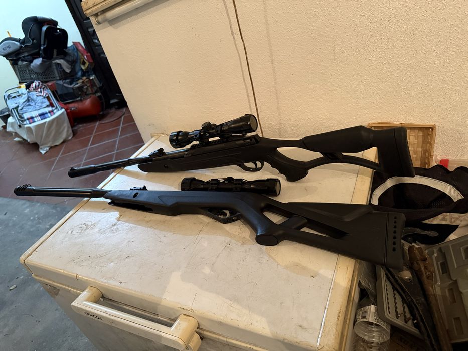 Carabinas 4.5 muito boas  para despachar