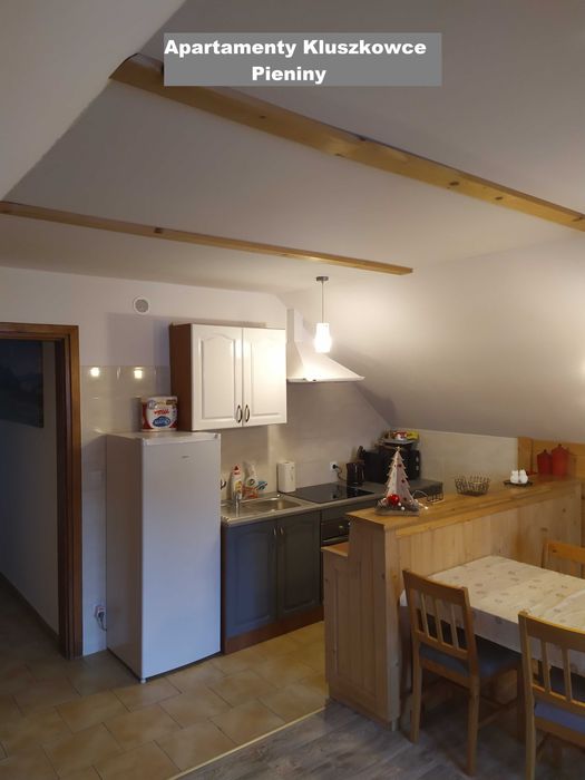 Apartament w górach noclegi jezioro Kluszkowce  Czorsztyn Pieniny Apartamenty
