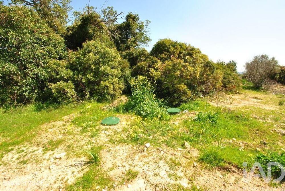 Terreno Agrícola em Paderne