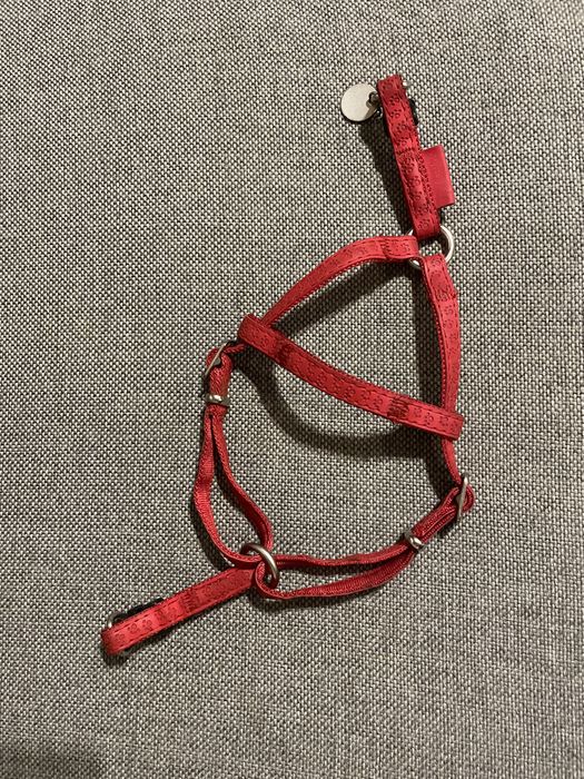 Czerwone szelki skórzane XS  Mac leather