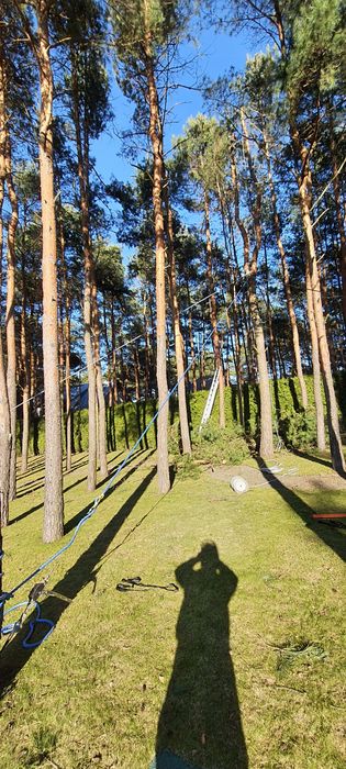 Wycinka i pielęgnacja drzew oraz inne usługi
