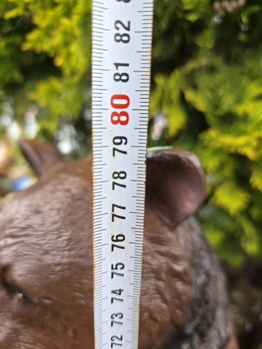 Niedźwiedź 79 cm