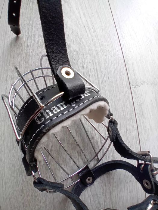 Kaganiec dla małego psa stalowy