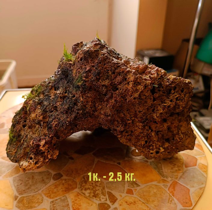 Живой рифовый камень для морского аквариума.