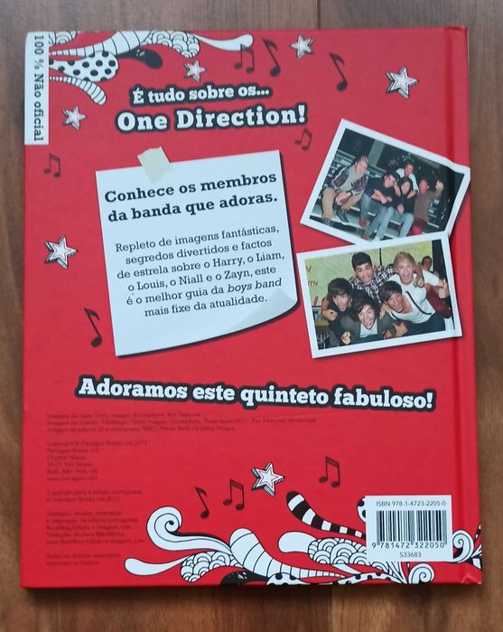 Livro Tudo sobre os One Direction - 100% Não oficial