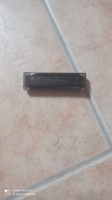 Gaita de beiços em bom estado