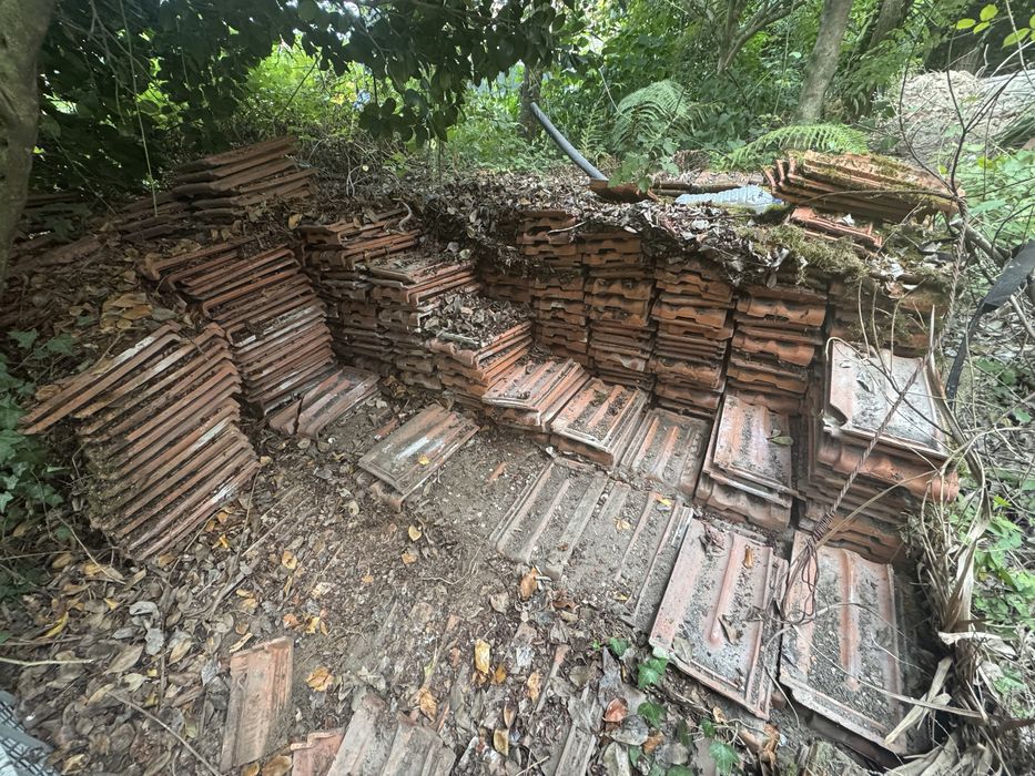 Telha ceramica gratuito