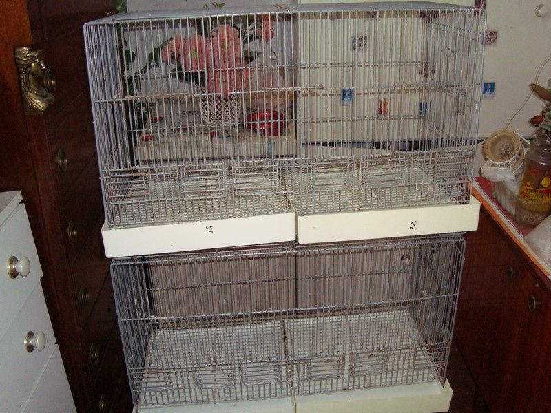 Viveiros médios duplos em bom estado.