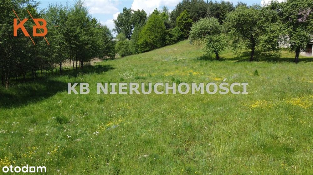 Działka w Świerklanach na sprzedaż