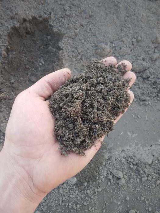 ziemia ogrodowa humus czarnoziem podłoże ogrodowe