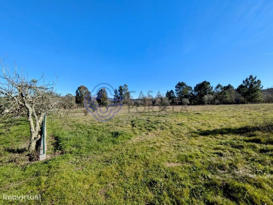 Terreno Urbanizável Plano Em Tragos, Mangualde